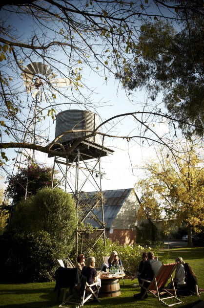 Brown Brothers Milawa Vineyard - Accommodation Brunswick Heads 5