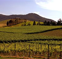 Soumah of Yarra Valley - Accommodation Brunswick Heads