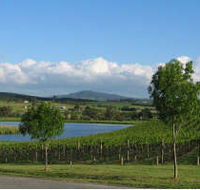 Yarrawood Estate - Accommodation Brunswick Heads