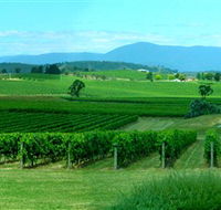 Acacia Ridge Vineyard - Accommodation Brunswick Heads