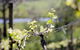 Adventure Estate - thumb 0