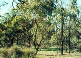 Meering West VIC Accommodation Brunswick Heads