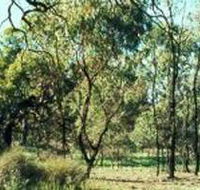Leaghur State Park - Accommodation Brunswick Heads