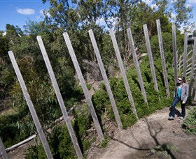 Herring Island Environmental Sculpture Park - Accommodation Brunswick Heads 0