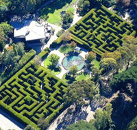 Ashcombe Maze  Lavender Gardens - Accommodation Brunswick Heads