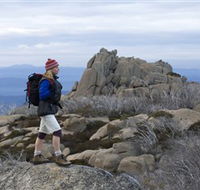 Mount Buffalo National Park - Accommodation Brunswick Heads