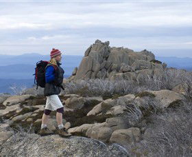 Mount Buffalo National Park - Accommodation Brunswick Heads 0
