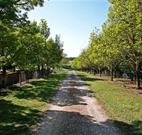 Waybourne Winery - Accommodation Brunswick Heads
