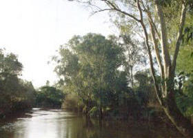 Banksia Park - Accommodation Brunswick Heads 0