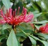 Alfred National Park - Accommodation Brunswick Heads