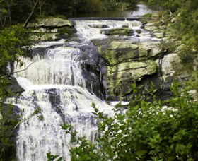 Agnes Falls Scenic Reserve - Accommodation Brunswick Heads 0