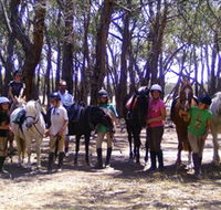 Bellarine Horse Riding Centre - Accommodation Brunswick Heads