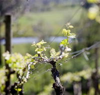 Kyneton Ridge Estate - Accommodation Brunswick Heads
