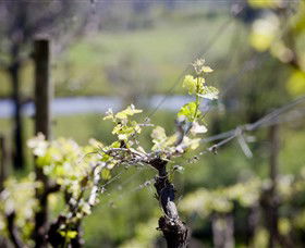Kyneton Ridge Estate - Accommodation Brunswick Heads 0