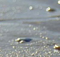 Cape Liptrap Coastal Park - Accommodation Brunswick Heads