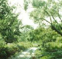 Holey Plains State Park - Accommodation Brunswick Heads