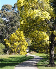 Wattle Park - Accommodation Brunswick Heads 0