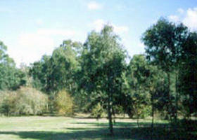 Sweeneys Flat - Accommodation Brunswick Heads 0