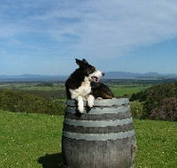 Windy Ridge Vineyard and Winery - Accommodation Brunswick Heads