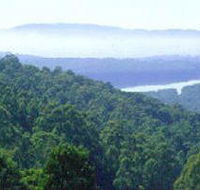 Kalorama Park - Accommodation Brunswick Heads