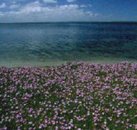 The Lakes National Park - Accommodation Brunswick Heads