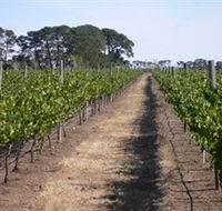 Mount Beckworth Wines - Accommodation Brunswick Heads