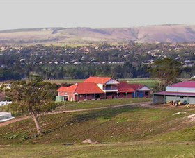 Bacchus Hill Winery - Accommodation Brunswick Heads 0