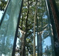 Sydney Sculpture Walk - Accommodation Brunswick Heads