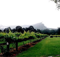 Cambewarra Estate Wines - Accommodation Brunswick Heads