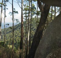 Gulaga National Park - Accommodation Brunswick Heads