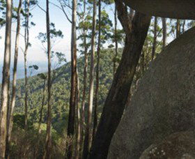 Gulaga National Park - Accommodation Brunswick Heads 0