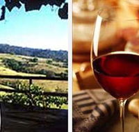 Jasper Valley Wines and Vines Cafe - Accommodation Brunswick Heads