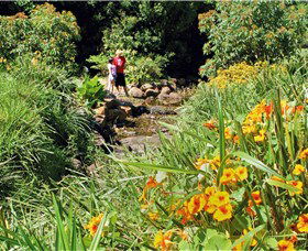 Bonaira Native Gardens - Accommodation Brunswick Heads 0