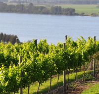 Two Figs Winery - Accommodation Brunswick Heads