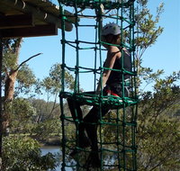 Trees Adventure Shoalhaven - Accommodation Brunswick Heads