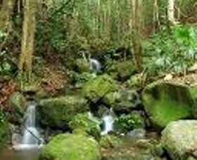 Budderoo National Park - Accommodation Brunswick Heads 0