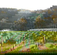 Tilba Valley Wines - Accommodation Brunswick Heads