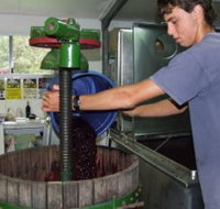 Fern Gully Winery - Accommodation Brunswick Heads