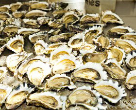 Wheelers Oysters - Accommodation Brunswick Heads 0