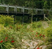 Eurobodalla Botanic Gardens - Accommodation Brunswick Heads