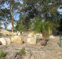 Curtis Park Arboretum - Accommodation Brunswick Heads