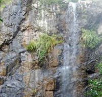 Wedding Bells Forest Drive - Accommodation Brunswick Heads