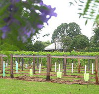 Douglas Vale Historic Homestead  Vineyard - Accommodation Brunswick Heads