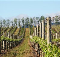 Philip Shaw Wines - Accommodation Brunswick Heads