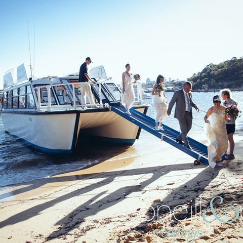 H2O Maxi Taxis - Accommodation Brunswick Heads 3