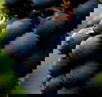 Swinging Bridge Estate - Accommodation Brunswick Heads