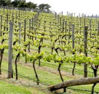 Bantry Grove - Accommodation Brunswick Heads