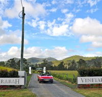 Sarabah Estate Vineyard - Accommodation Brunswick Heads