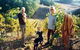 Mt Lofty Ranges Vineyard - thumb 0