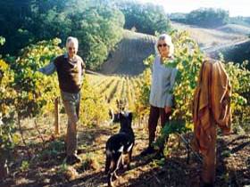Mt Lofty Ranges Vineyard - Accommodation Brunswick Heads 0
